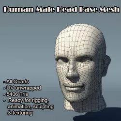 Human Male Head Base Mesh