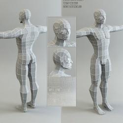 Male Body [Base Mesh] 3D Model $35 - .fbx .ma - Free3D