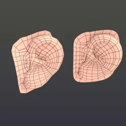 Low poly human ear