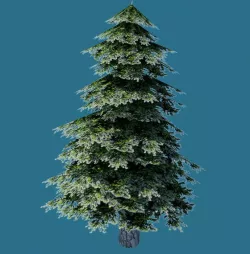 Low Poly Pine Tree Model