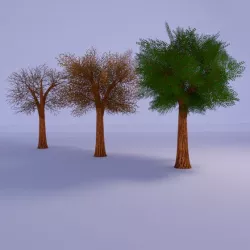 Lowpoly Tree 3 Seasons