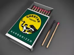 Match Box with Match sticks