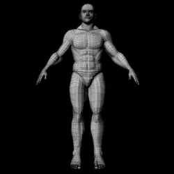 Medium Poly Man