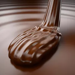 Mousse of Chocolate