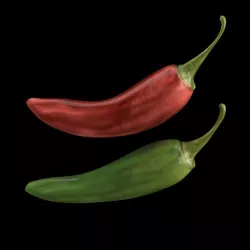Peppers