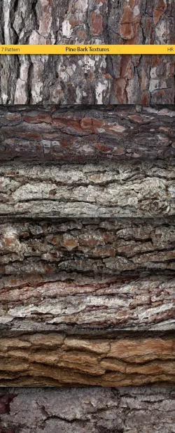 Pine Bark Surface Textures