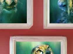 Plaster Photo Frames