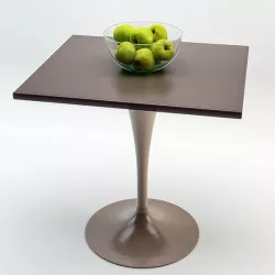 Plastic Table