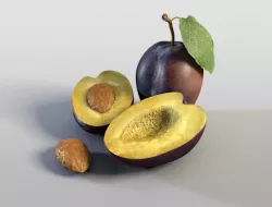 Plum