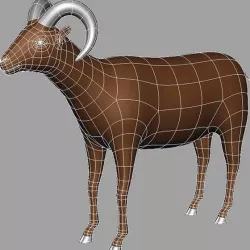 Ram