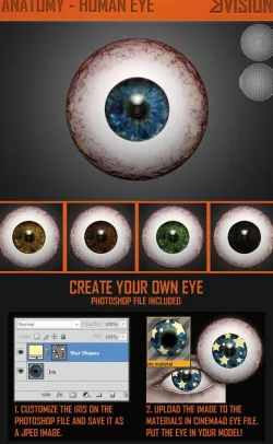 Realistic Human Eye 3D Model