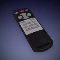 Remote controller