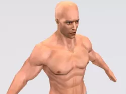 Rigged Character Collection
