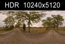 Road with Trees 2
