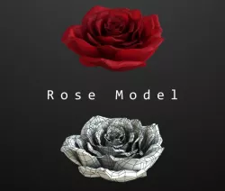 Rose Model