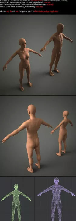 Sculpting Base Mesh Pack - Human Male and Female