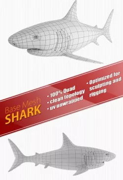 Shark Base Mesh