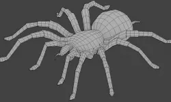Spider Base Mesh