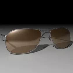 Sunglass