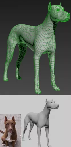 3d Dog Model