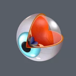 3d Eye