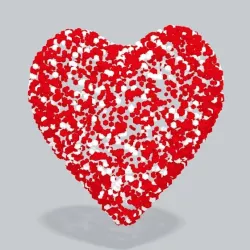 3D Heart spheres
