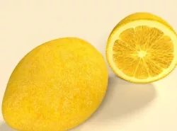 3D Lemon