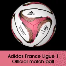 Adidas France Ligue 1 ball 3D model