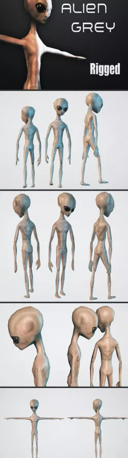 Alien Grey