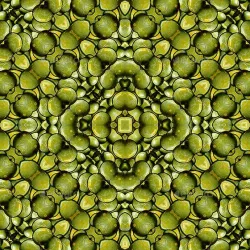 Alien Reptile Seamless Texture