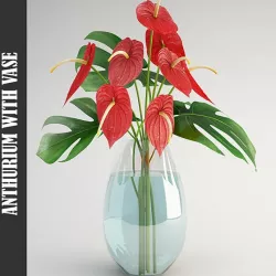 Anthurium