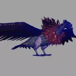 bald eagle model&blend shape