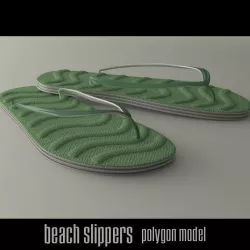 Beach Slippers