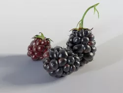 Blackberry
