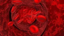Blood cells in a vein