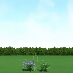 Blooming Syringa (Lilac)Trees 3d Models