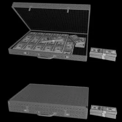 Briefcase with Money