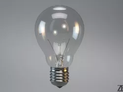 Bulb