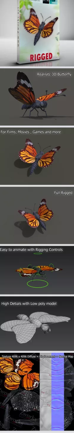 Butterfly