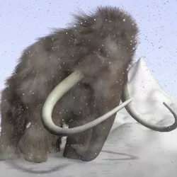 Cartoon mammoth RIGGED