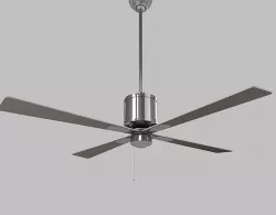 Ceiling fan