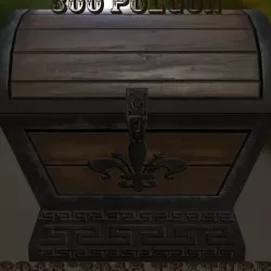 Chest