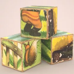 Cubes