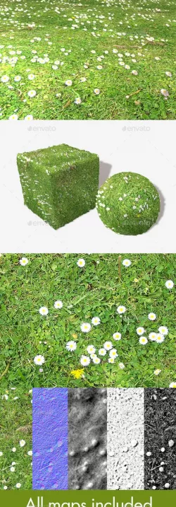 Daisy Lawn Seamless Texture