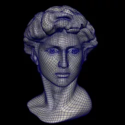 David head&blend shape