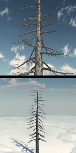 Dead Pine Tree V3