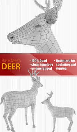 Deer
