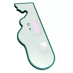 Design Pregnancy Test