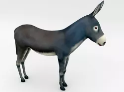 Donkey