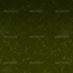 Edit Grass Texture Tileable v2